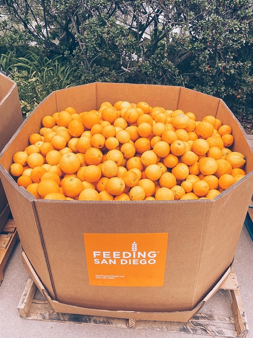 Bin of fresh oranges