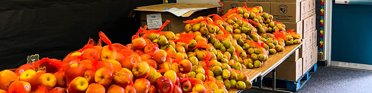 http://feedingsandiego.org/wp-content/uploads/2022/07/School-Pantry-Featured-Photo.jpg