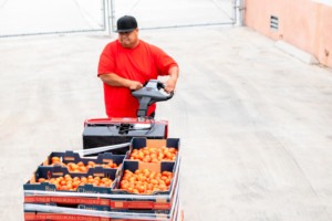 Feeding San Diego driver pulls out palette of produce at mobile pantry distribution.