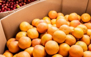 Barrel of oranges and apples at Feeding San Diego distribution center