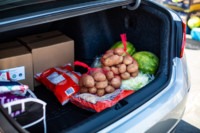 Fresh produce in back of car