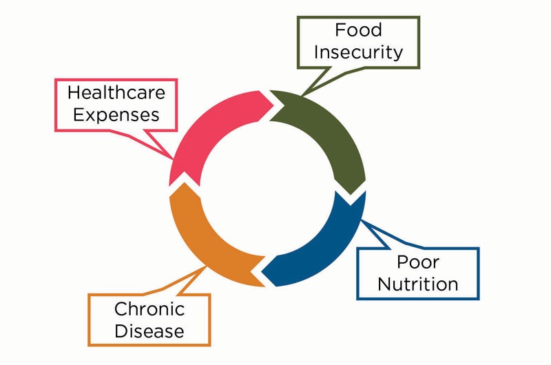 Graphic showing how the effects of food insecurity on health are a cycle
