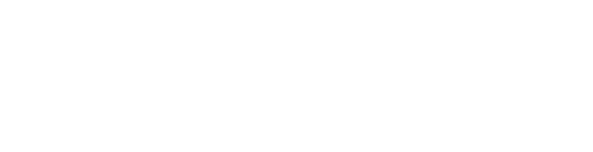 Charity Navigator logo