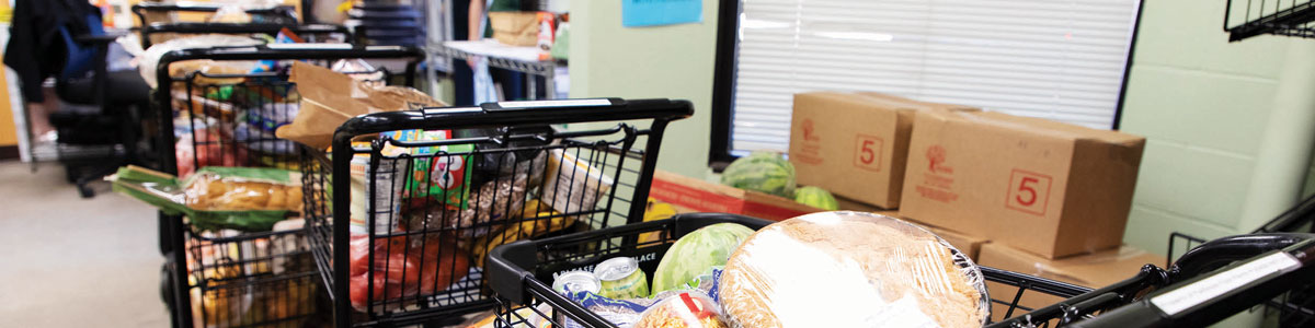 line of shopping carts with food at the Fallbrook Food Pantry