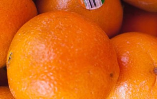 Close up of oranges - Mental Health Awareness Month Spotlight