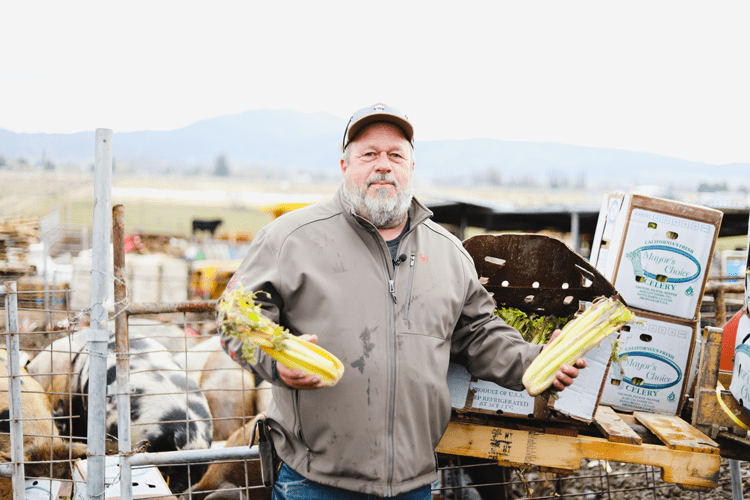 A man holding celery at a farm