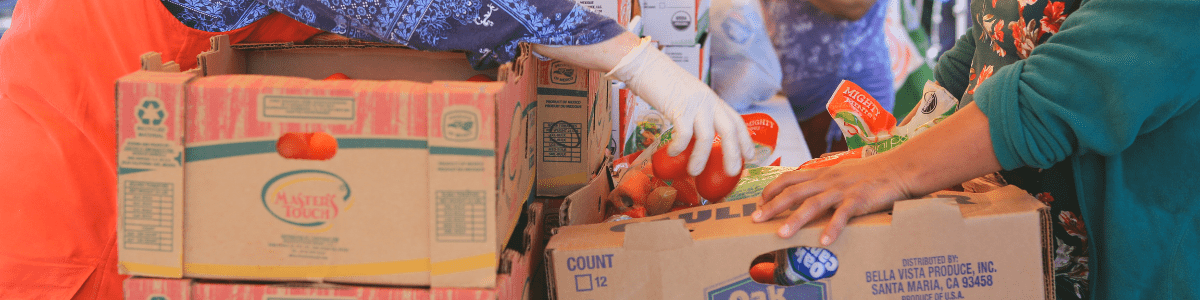 Close up of hands putting produce into a box
