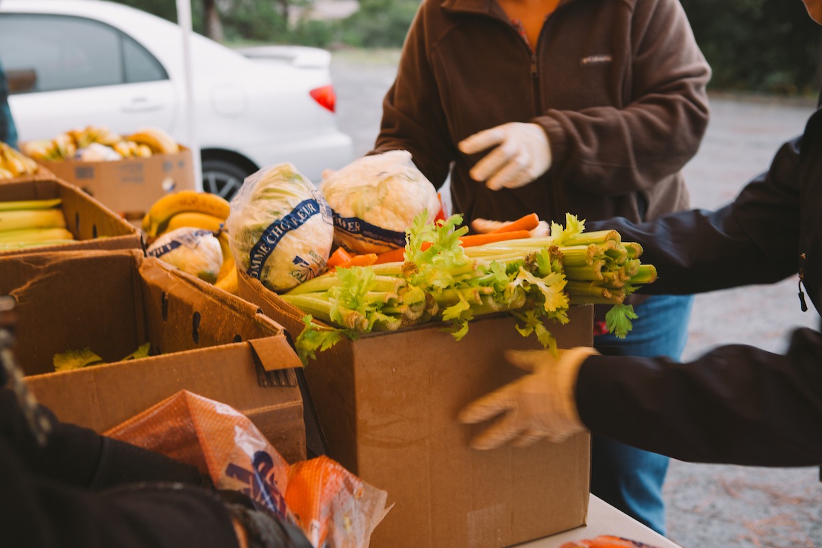Volunteers packing a box with produce