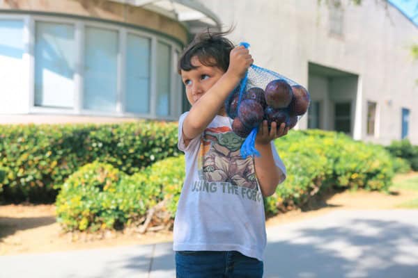Boy with bag of plums