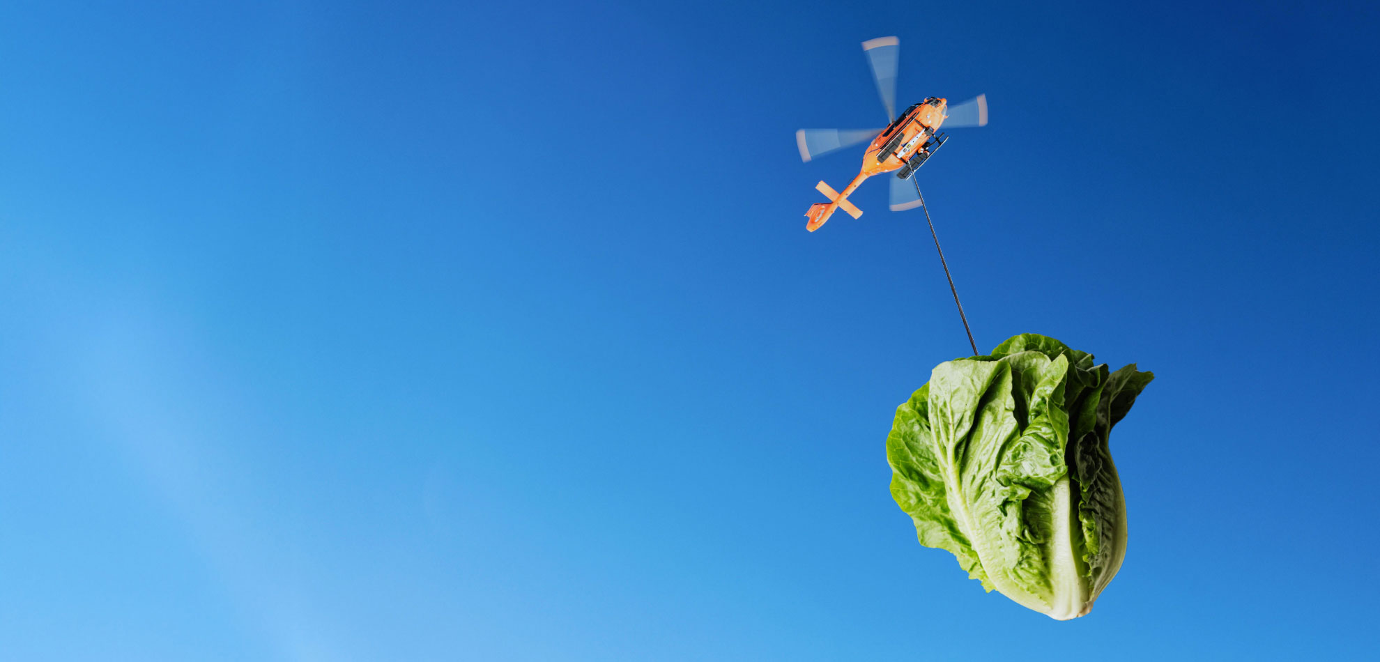 Food-Rescue-Web-Banner2-FY26_1980x950px