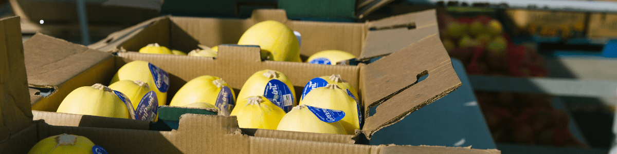 Boxes of melons